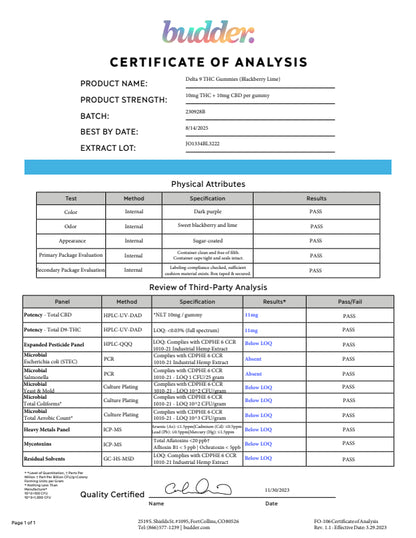 D9 Gummies 10mg Blackberry-Lime  25 count